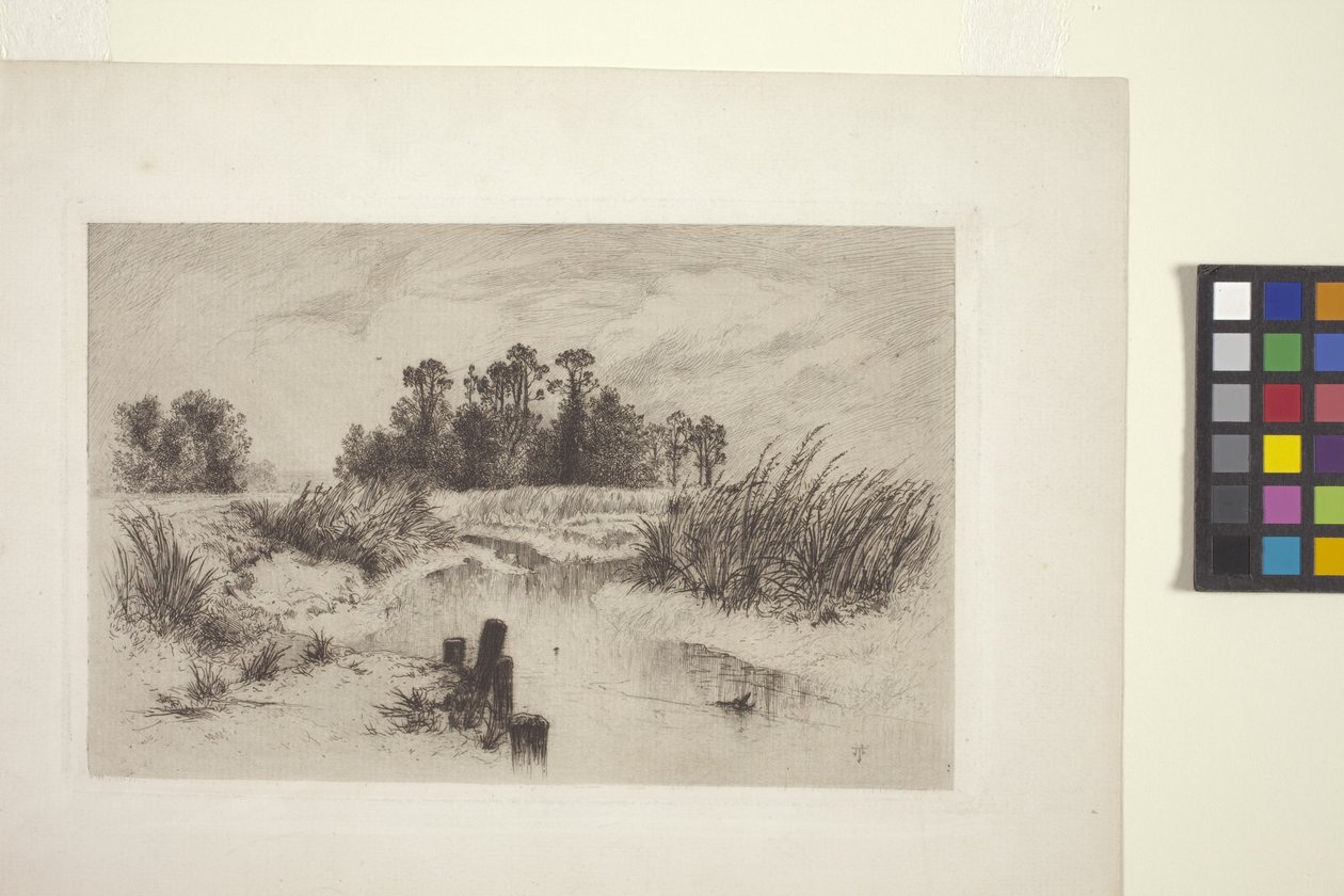 Sumpflandschaft mit Bach von Thomas Moran