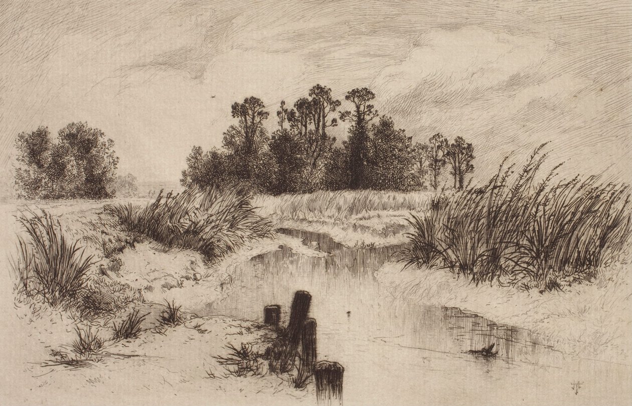 Sumpflandschaft mit Bach von Thomas Moran