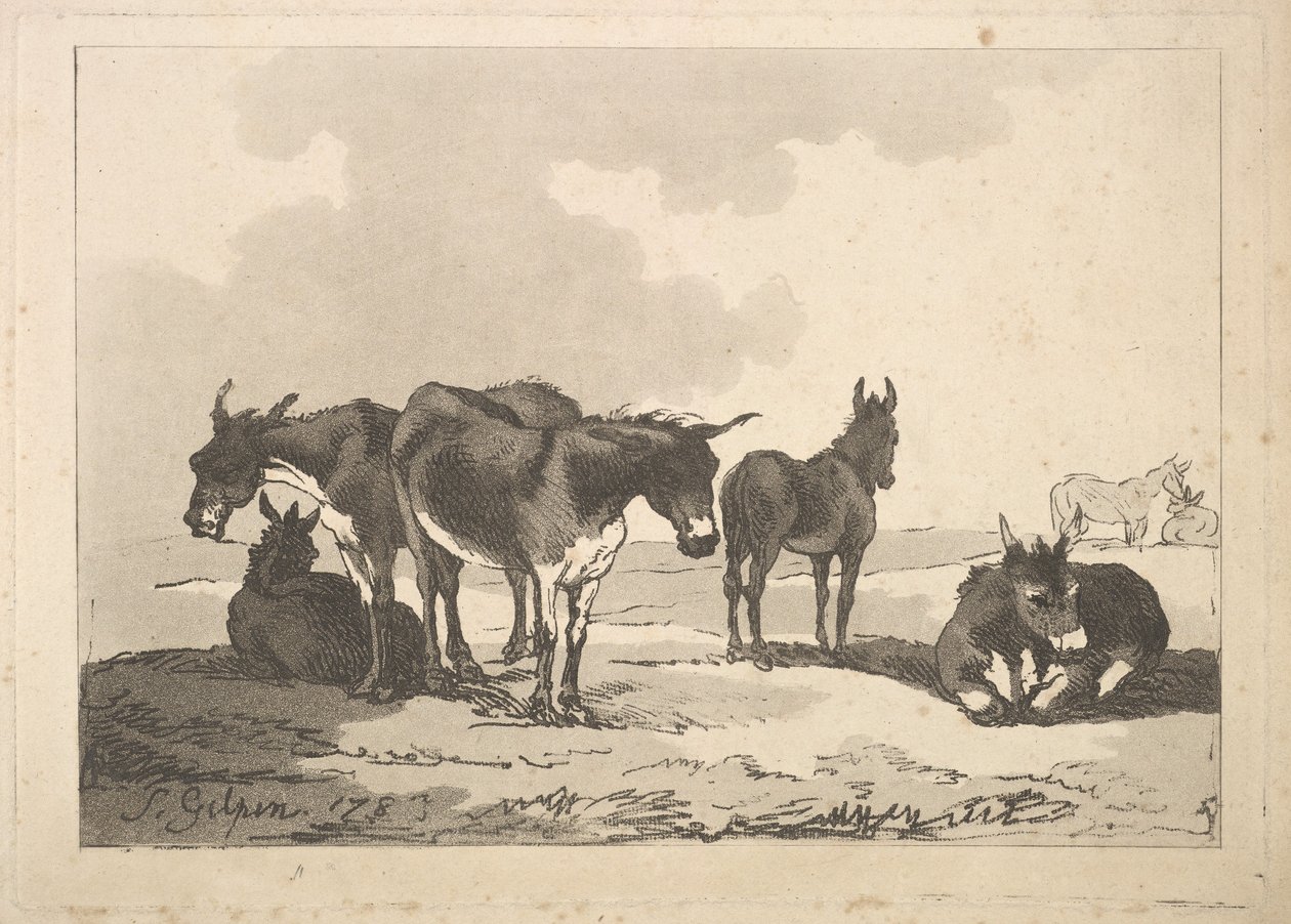 Eine Gruppe von fünf Eseln, drei stehend, zwei liegend, 1783-87 von Thomas Rowlandson