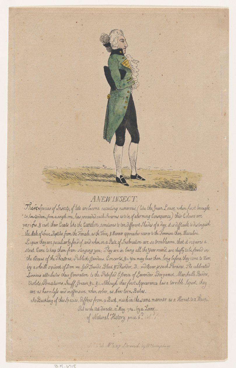 Ein neues Insekt, 12. Mai 1784 von Thomas Rowlandson