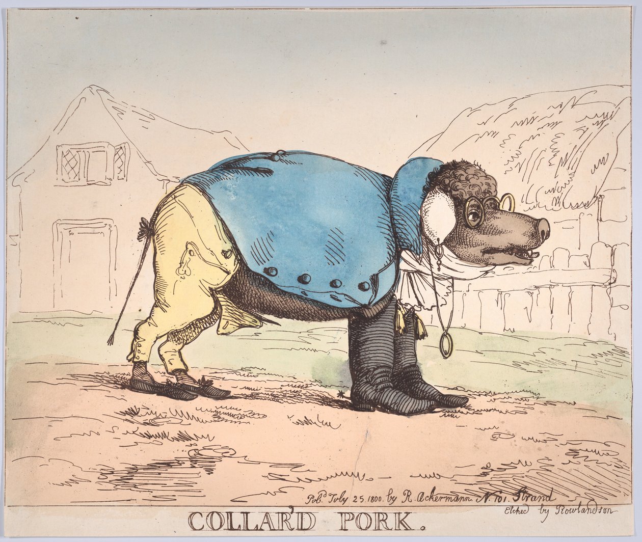 Kragenfleisch, 25. Juli 1800 von Thomas Rowlandson