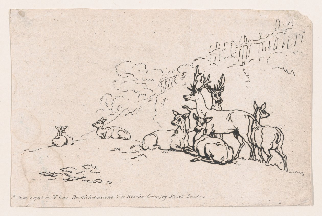 Hirsche aus Tafel 3, Umrisse von Figuren, Landschaften und Vieh... zur Verwendung von Le..., 1. Juni 1790 von Thomas Rowlandson