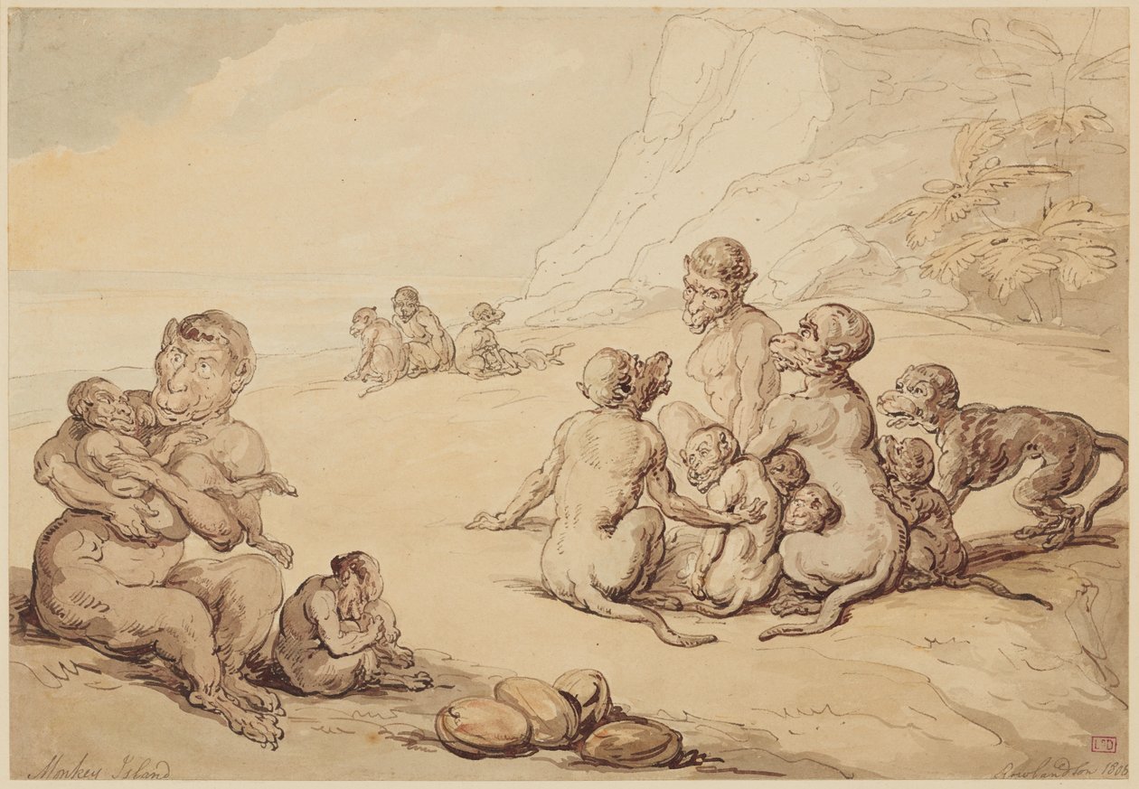Affeninsel von Thomas Rowlandson