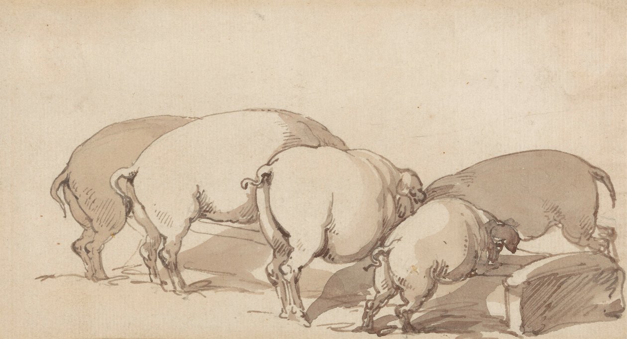 Schweine an einem Trog, ca. 1790 von Thomas Rowlandson