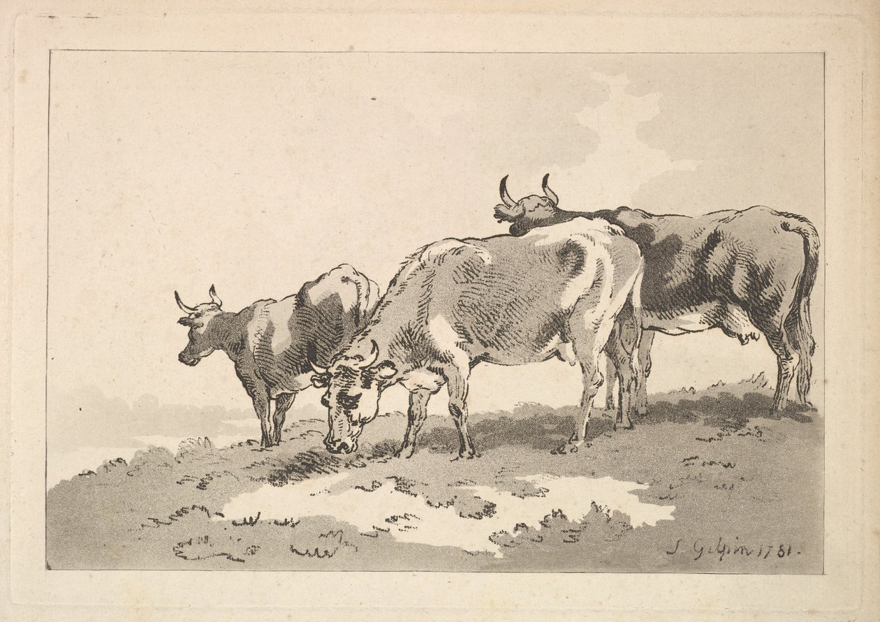 Drei Kühe auf dem Kamm eines Feldes stehend, 1784-87 von Thomas Rowlandson