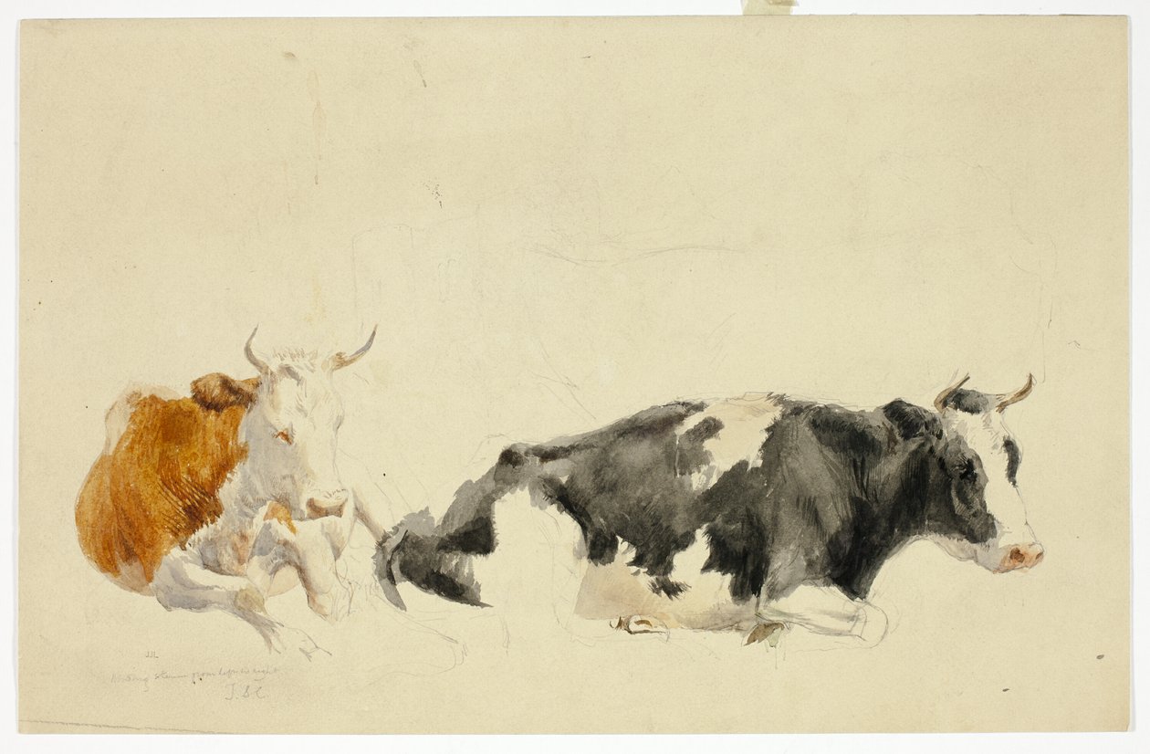 Zwei liegende Kühe (recto); Skizze einer stehenden Kuh (verso) von Thomas Sidney Cooper