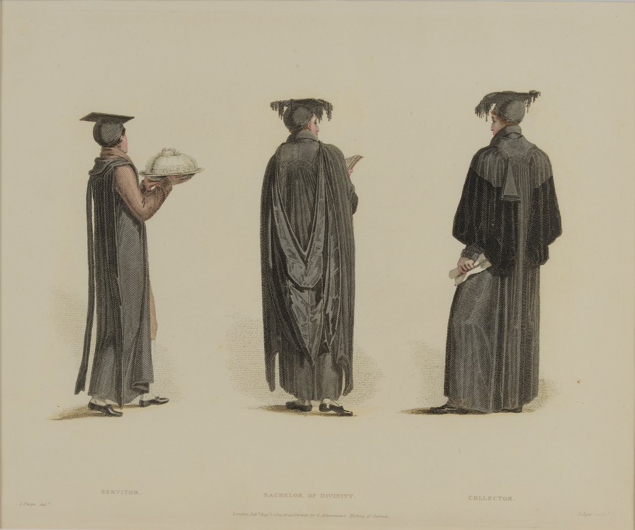 Servitor, Bachelor of Divinity, Sammler, graviert von J. Agar, veröffentlicht in R. Ackermanns 