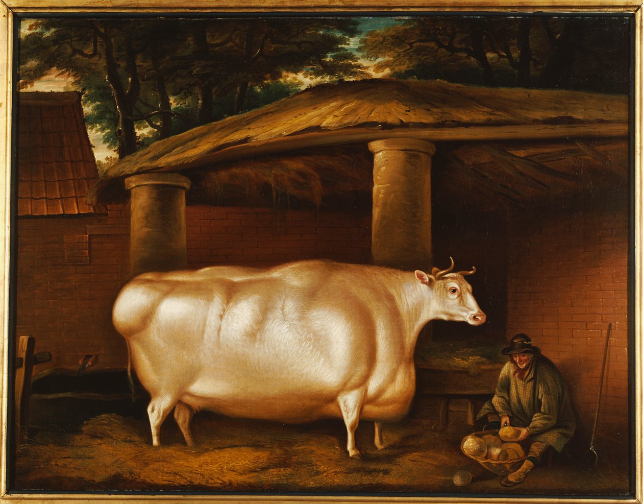 Die weiße Färse, die reiste, mit einem Mann, der Rüben in einem Stallhof schneidet von Thomas Weaver