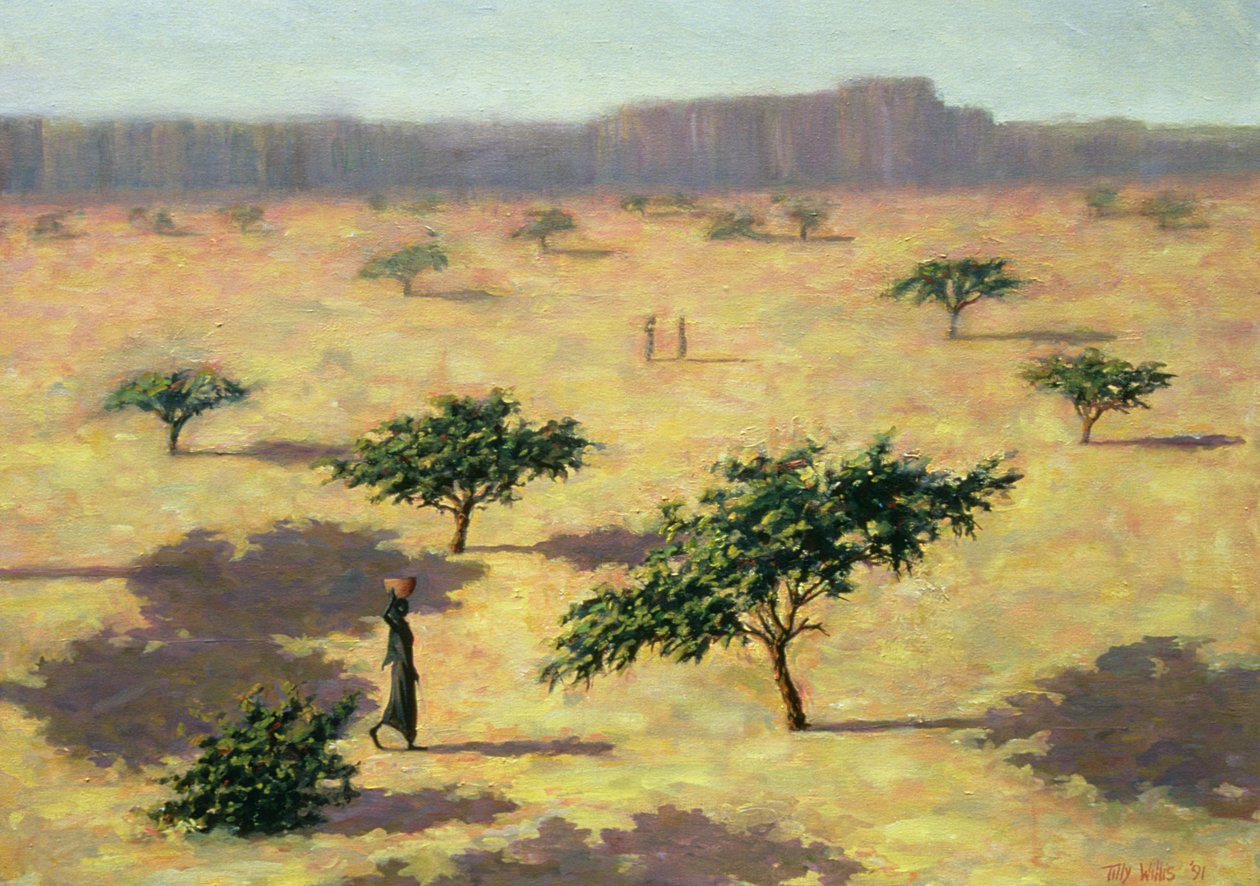 Sahelische Landschaft, Mali, 1991 von Tilly Willis