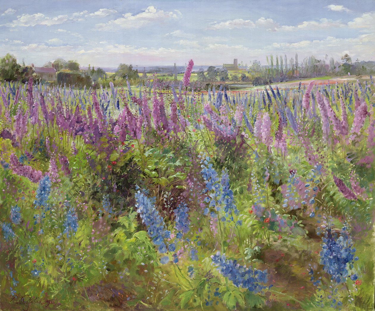 Rittersporn und Mohnblumen, 1991 von Timothy Easton