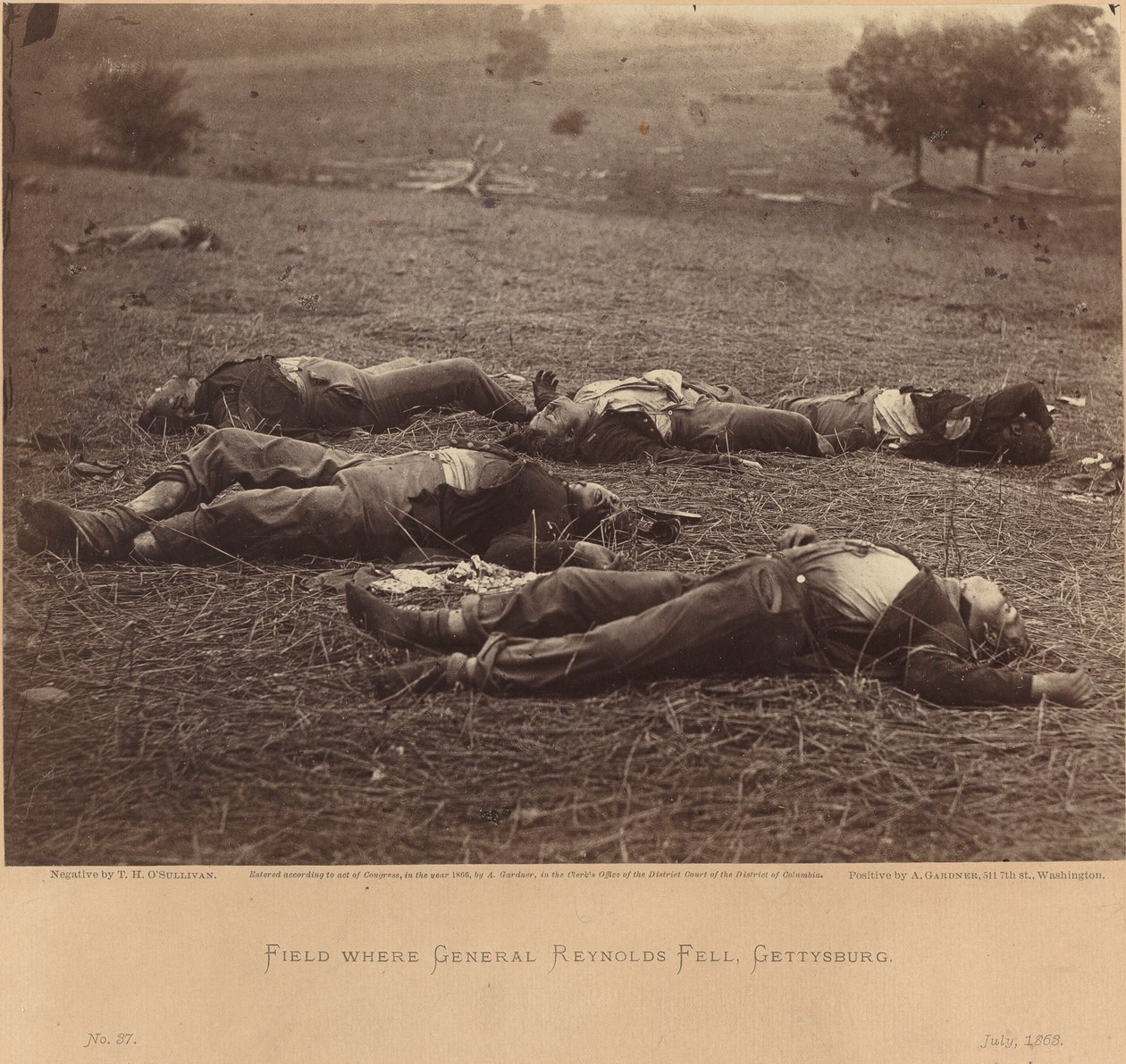 Feld, wo General Reynolds fiel, Gettysburg, 5. Juli 1863 von Timothy H. O