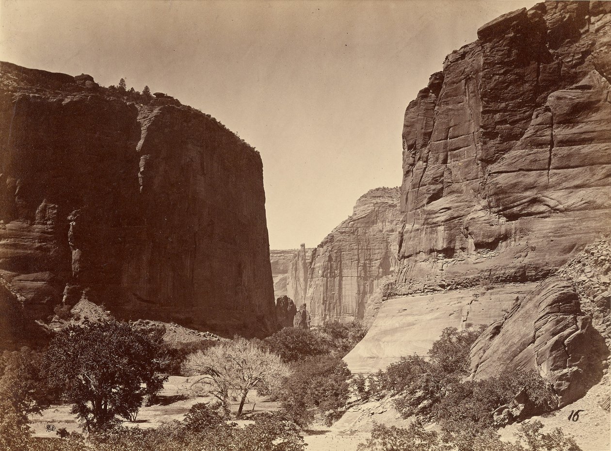 Kopf des Cañon de Chelle, Blick nach unten, Wände etwa 1.200 Fuß hoch von Timothy H. O