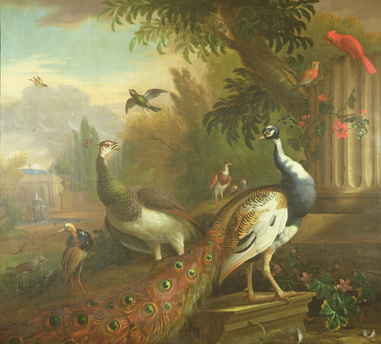Pfau und Pfauhenne mit einem Roten Kardinal in einer klassischen Landschaft von Tobias Stranover