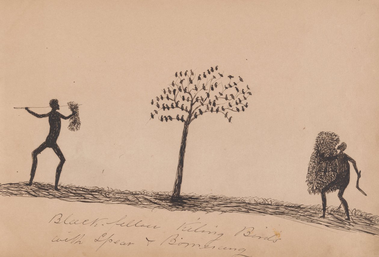 Kwatkwat Volk - Schwarzer tötet Vögel mit Speer und Bumerang - Skizzenbuch der Aktivitäten der Aborigines von Tommy McRae