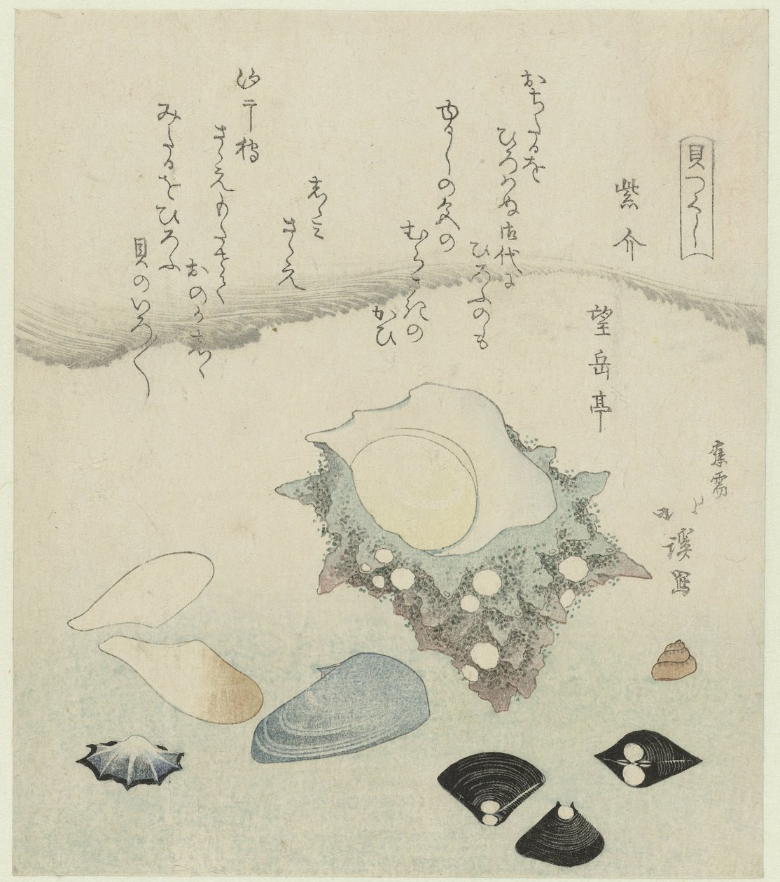 Lila Muschel, Süßwassermuscheln und eine Turbanmuschel von Totoya Hokkei