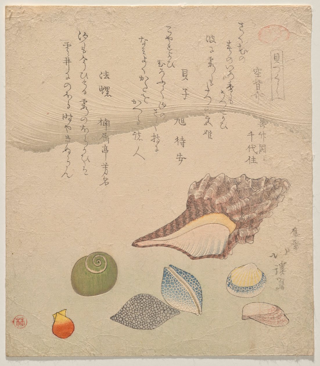 Sieben Muscheln am Rand des Meeres, aus der Serie Muschelkompendium (Kaizukushi) von Totoya Hokkei