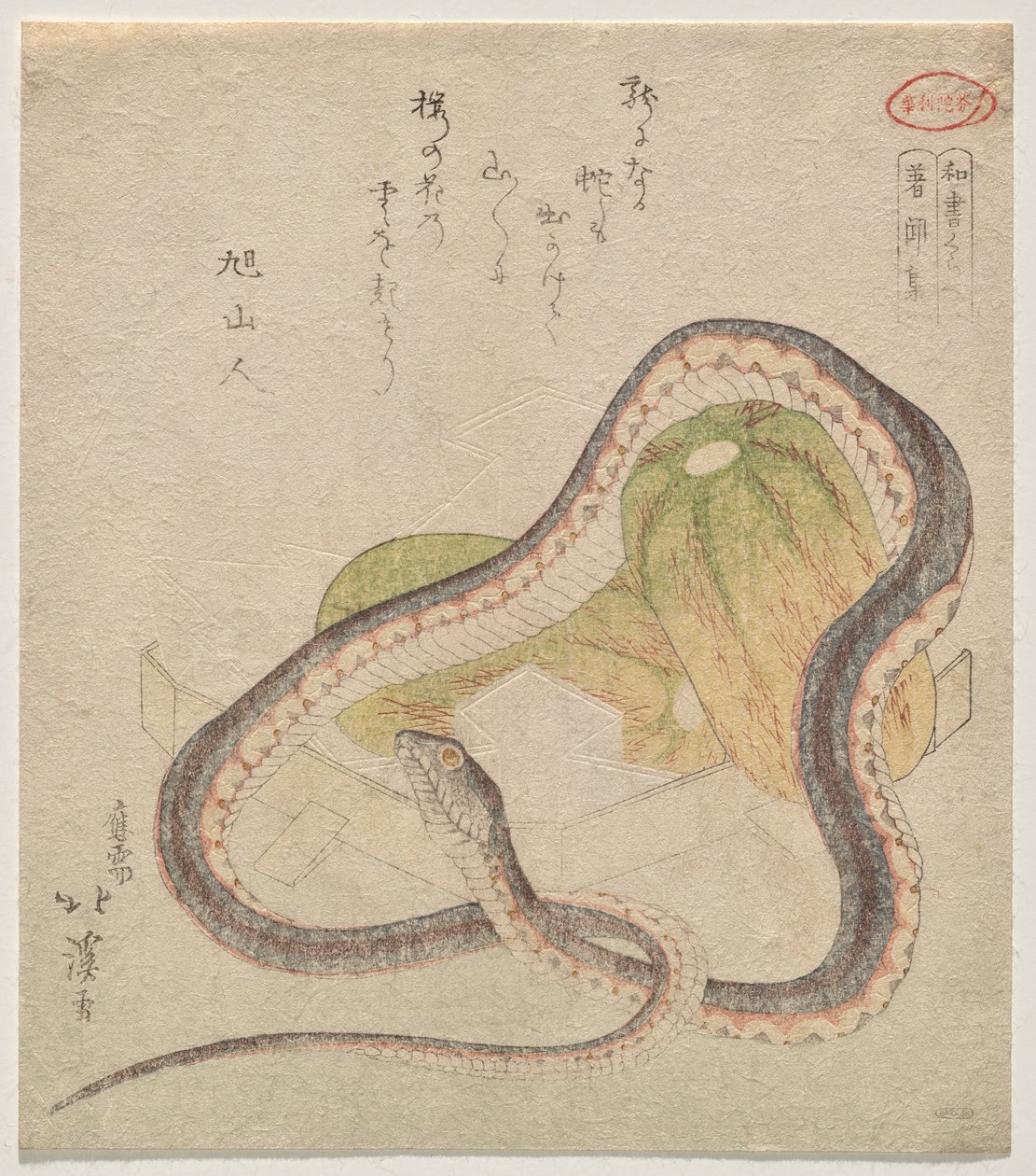 Schlange umschlungen mit Kürbissen (Chomonj?; Abkürzung für das Kokon Chomonj?) von Totoya Hokkei