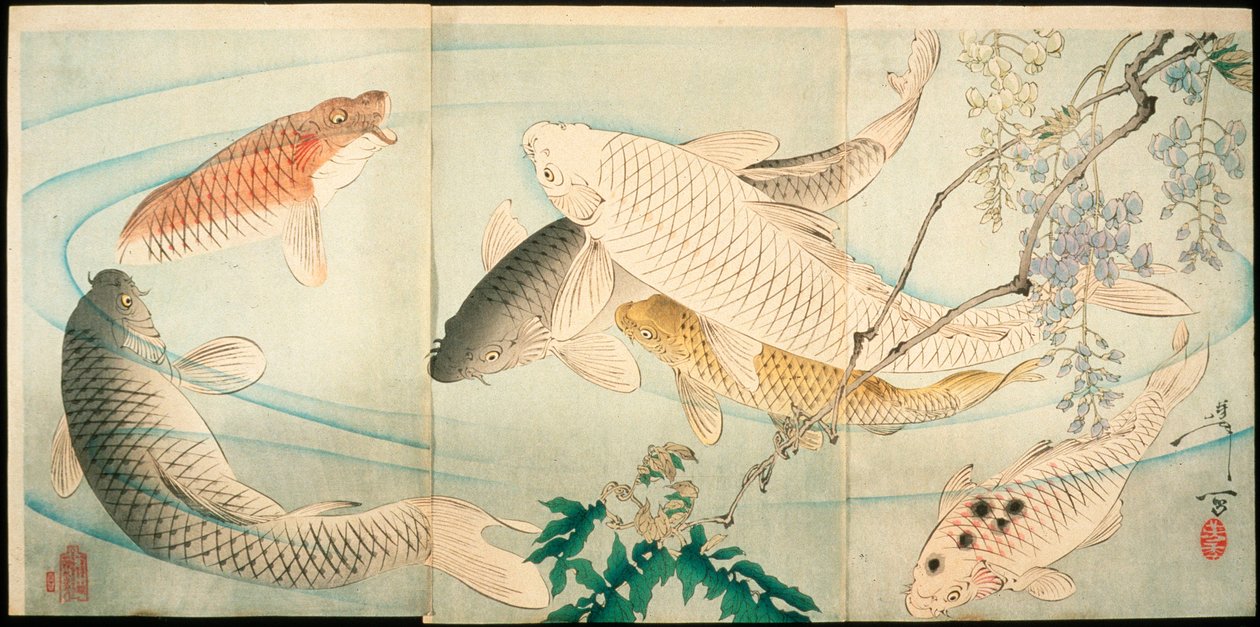 Karpfen mit Glyzinien von Tsukioka Yoshitoshi