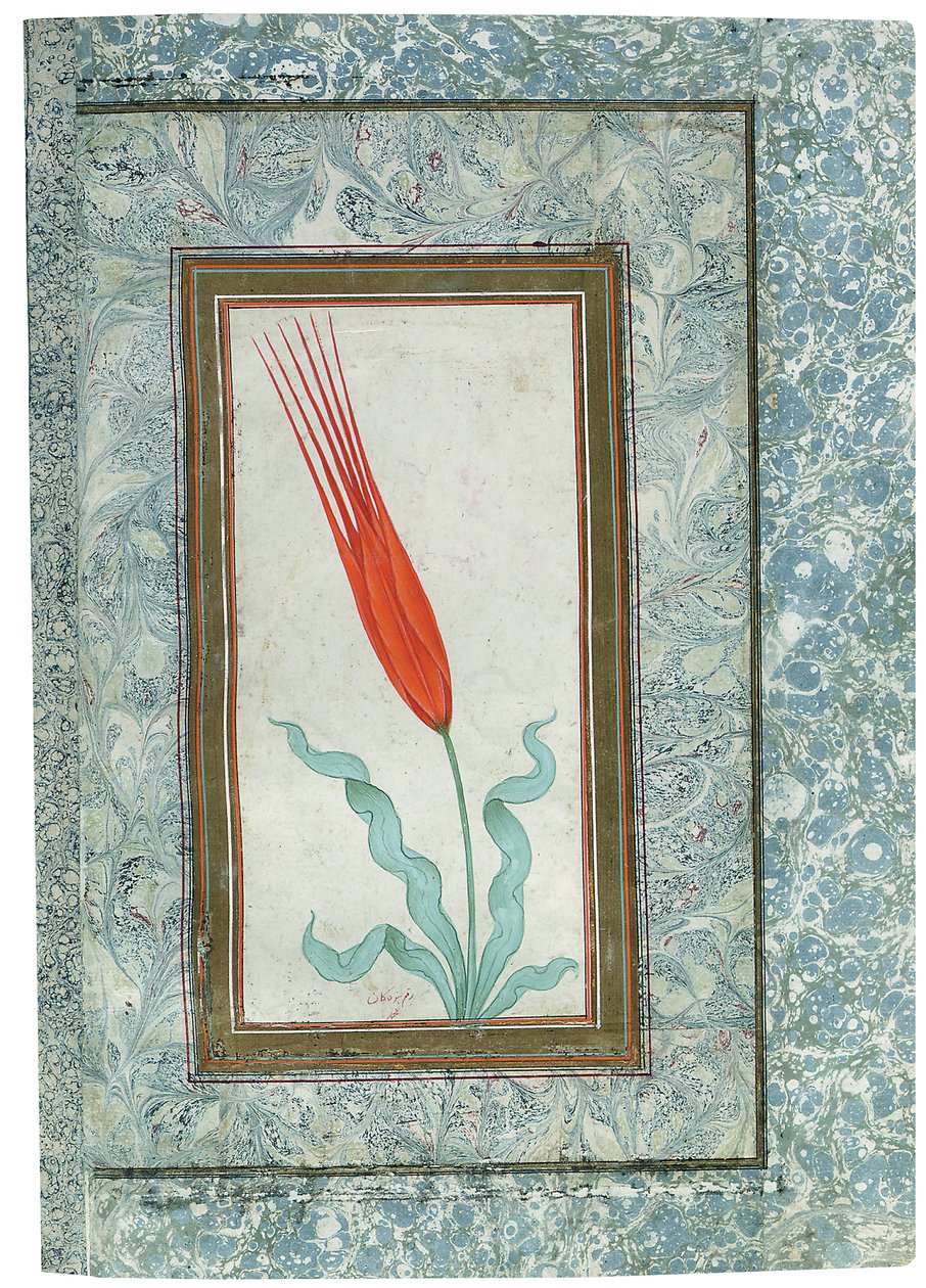 Seite aus dem Türkischen Tulpenalbum, Istanbul, 1725 von Turkish School
