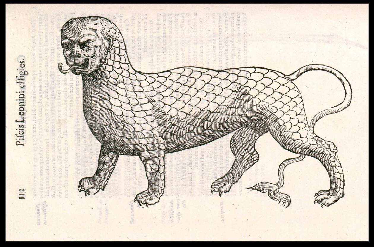 Monsterkreatur: ein Löwe bedeckt mit Fischschuppen (oder Löwenfisch). Gravur von Ulisse Aldrovandi (1522-1605), „Monstrorum Historiae“, Bologna 1642 von Ulisse Aldrovandi