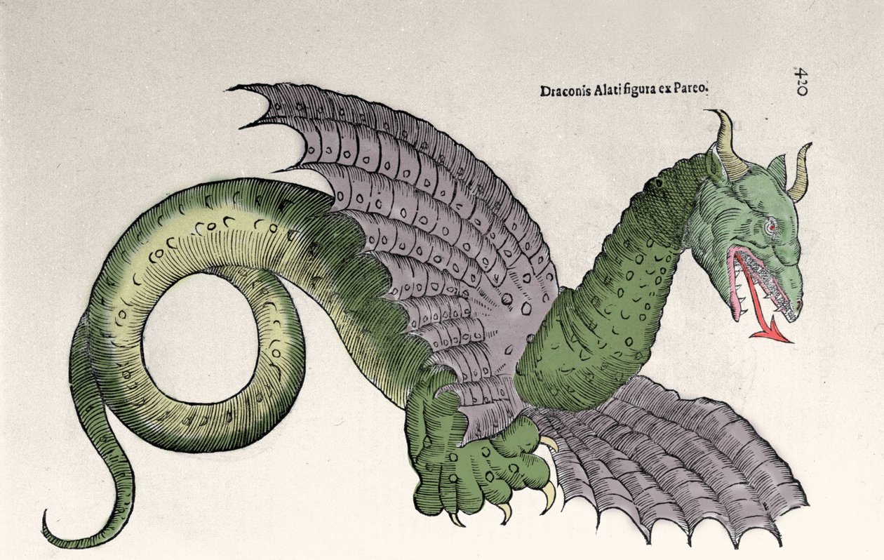 Darstellung von Ambroise Paré (1509-1590) in seinem Buch „Monsters and Wonders“. Gravur von Ulisse Aldrovandi (1522-1605), „Monstrorum Historiae“, Bologna 1642 von Ulisse Aldrovandi