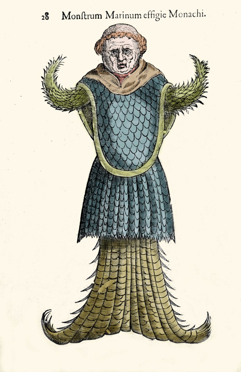 Der Seemönch, imaginärer Fisch und Meeresmonster von Ulisse Aldrovandi (1522-1605), „Monstrorum Historiae“, Bologna 1642 von Ulisse Aldrovandi