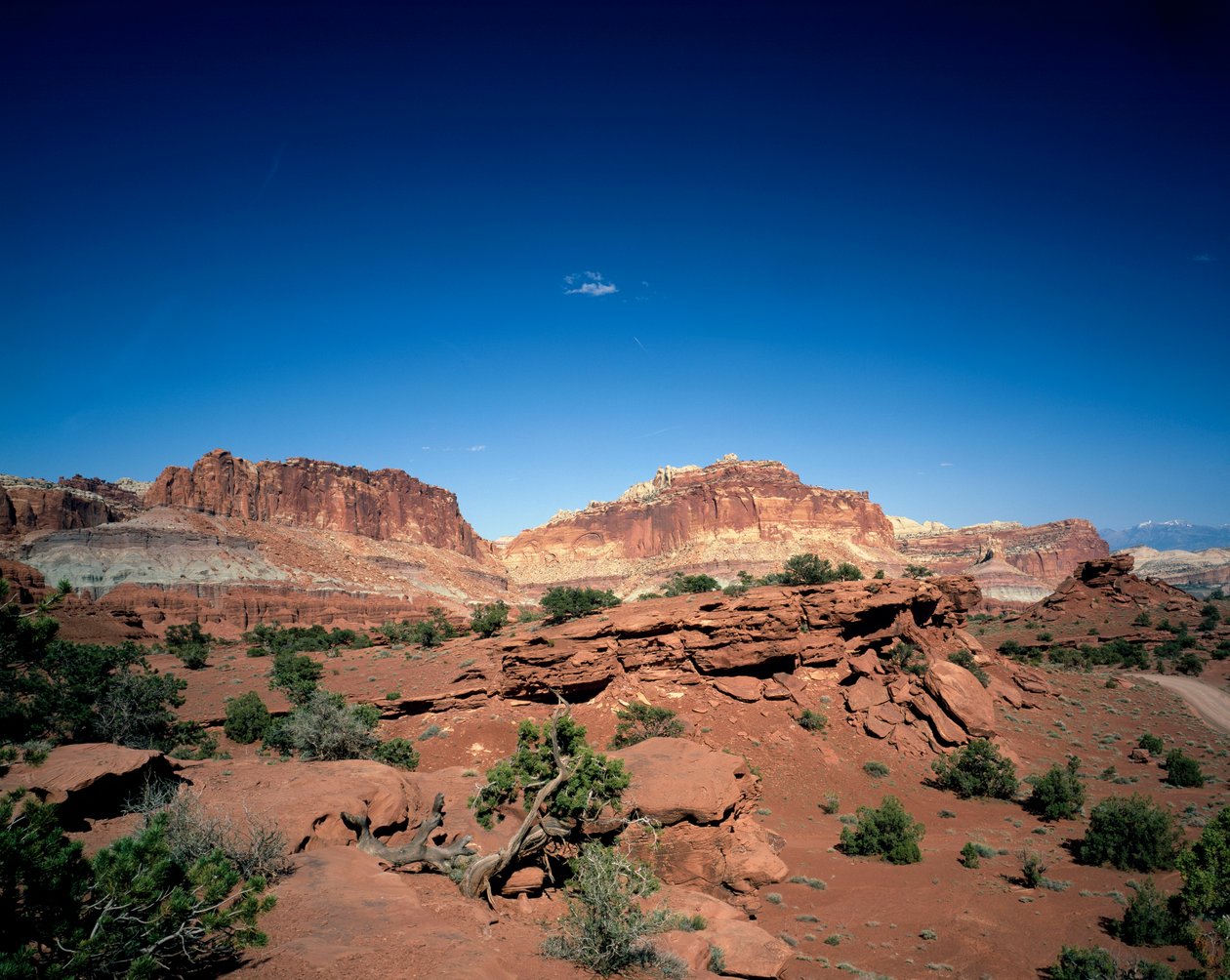 Kuppel des Kapitols und Chimney Rock, Capitol Reef Nationalpark, Utah von Unbekannt Unbekannt