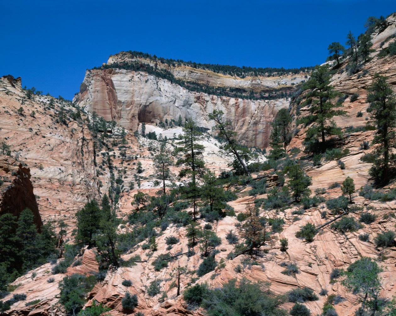 Zion-Nationalpark, Utah von Unbekannt Unbekannt