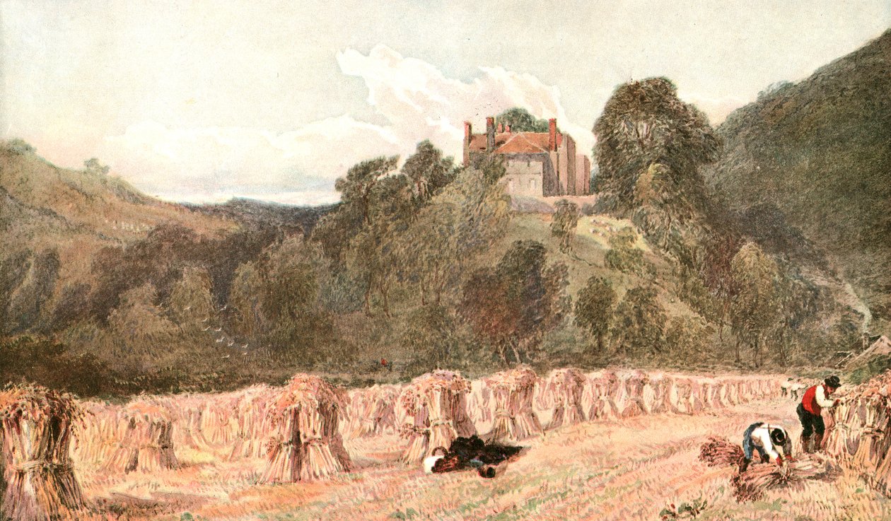 Ein Kornfeld, um 1840er Jahre, um 1900 von Unbekannt