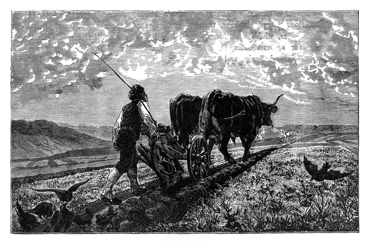 Ein französischer Landwirt, ca. 1890 von Unbekannt