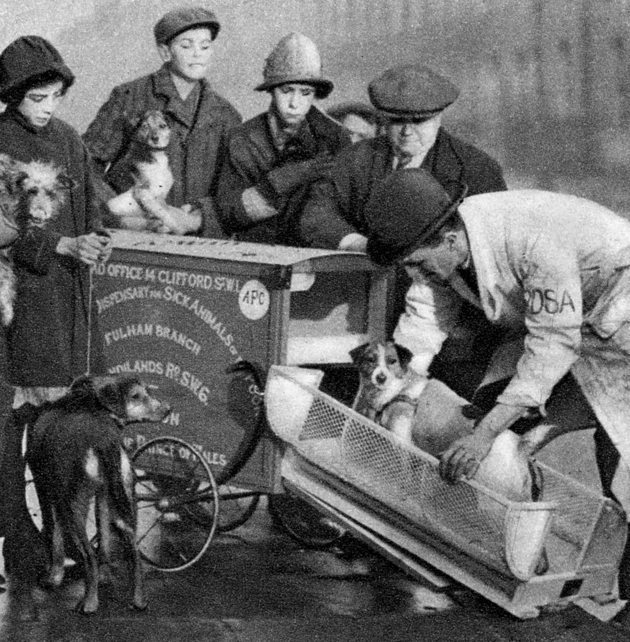 Krankenwagen der Ambulanz für kranke Tiere der Armen, London, 1926-1927 von Unbekannt
