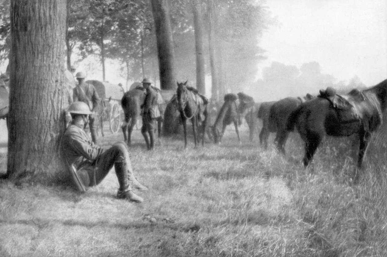 Amerikanische Kavallerieeinheit in Ruhe, Chemin des Dames, Frankreich, 1918 von Unbekannt