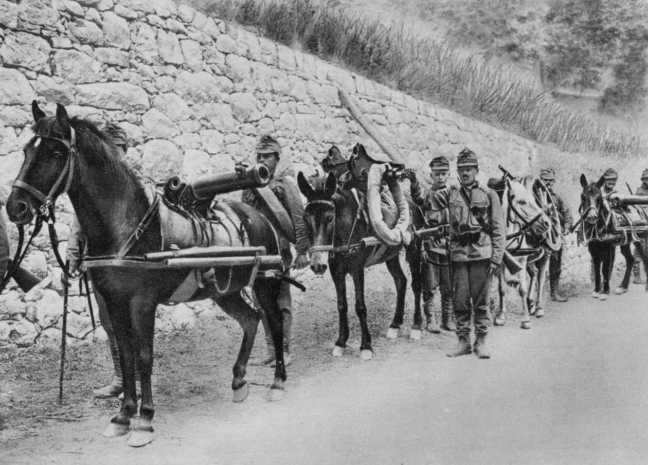 Österreichische Soldaten, Österreichisch-Italienischer Krieg, Schlacht am Isonzo, Erster Weltkrieg, 1915 von Unbekannt