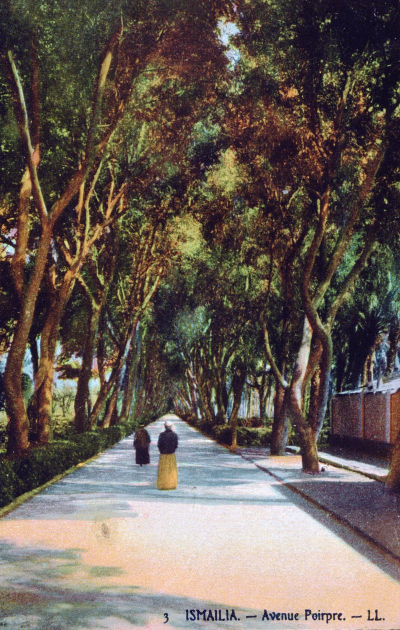 Avenue Poirpre, Ismailia, Ägypten, um 1900 von Unbekannt
