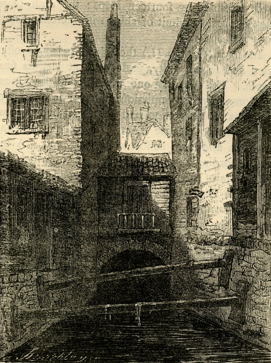 Rückseite des Roten Löwen, von der Flotte von Unbekannt