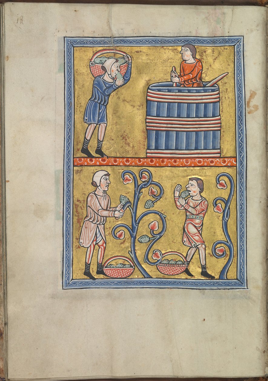Kalender, September, Männer beim Traubenpflücken und -treten - Psalter von Eleonore von Aquitanien (ca. 1185) - KB 76 F 13, Folium 009v von Unbekannt