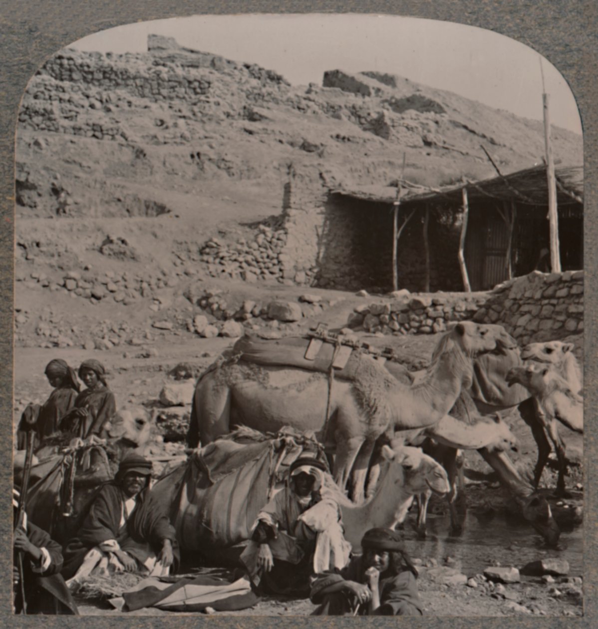 Kamelkarawane aus Jerash, Wasserstelle am Brunnen von Elisha, um 1900 von Unbekannt