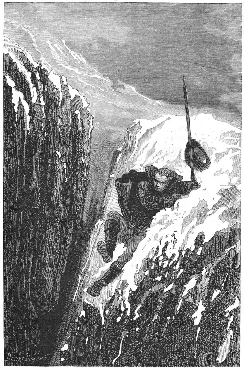 Carl von Linné, schwedischer Wissenschaftler und Naturforscher von Unbekannt
