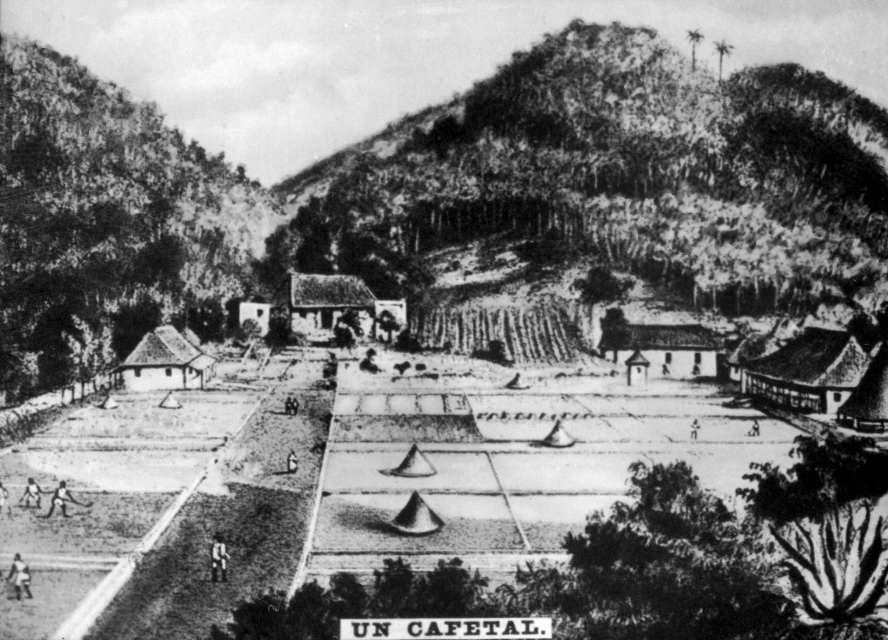 Kaffeeplantage, Kuba, 1768 um 1910 von Unbekannt