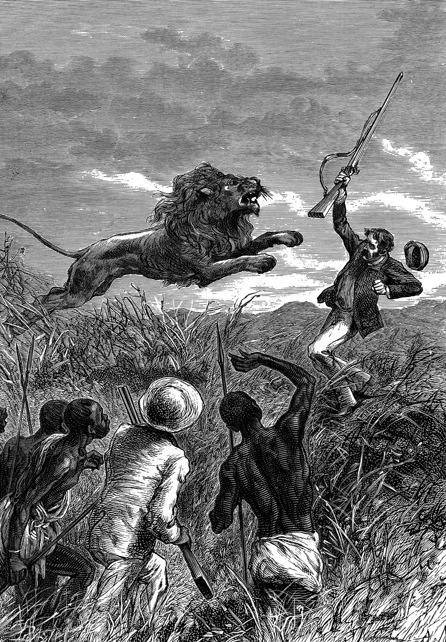 David Livingstone, schottischer Missionar und Afrikaforscher, von einem Löwen angegriffen, ca. 1860 von Unbekannt