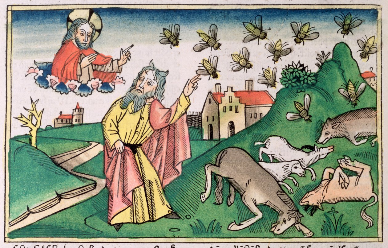 Exodus 8:20-32: Moses und der Fliegenschwarm, eine der sieben Plagen Ägyptens von Unbekannt