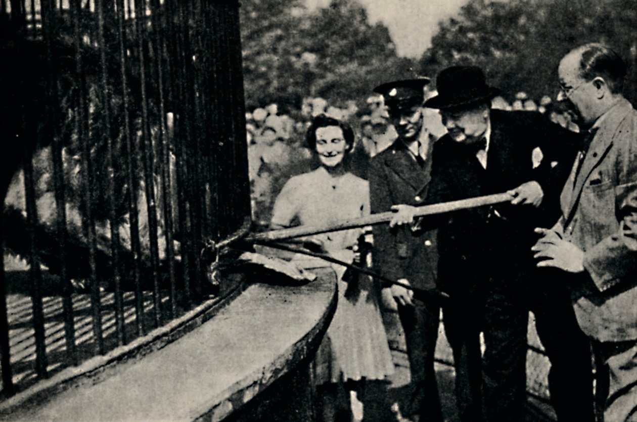 Fütterungsplan, Der Pinner-Löwe, 1940er Jahre, 1945 von Unbekannt