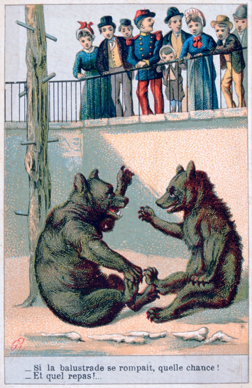 Französische zoologische Postkarte, 19. Jahrhundert von Unbekannt