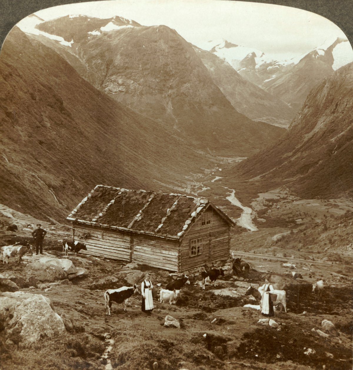 Vom Berghotel in Vidde saeter hinunter ins Vidde-Tal - Mt. Skaala in der Ferne, um 1905 von Unbekannt