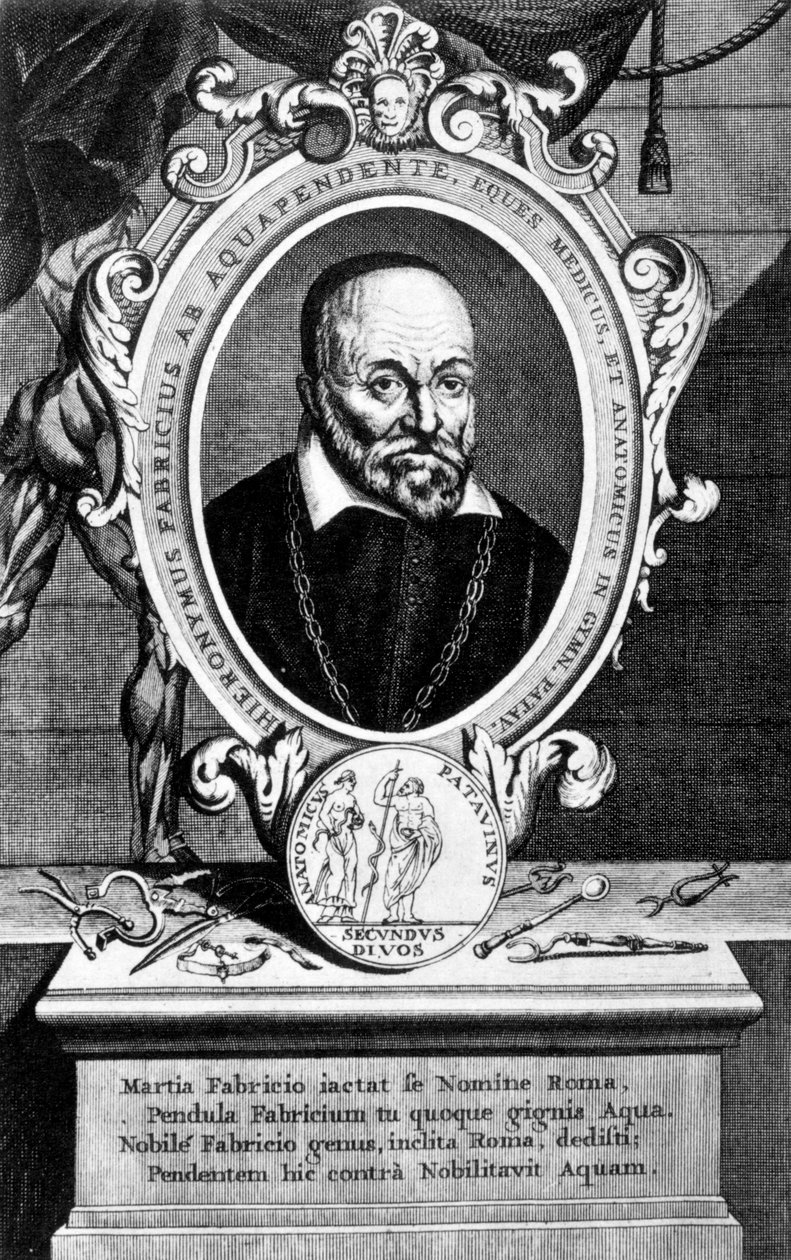 Girolamo Fabrici, italienischer Anatom und Chirurg, 17. Jahrhundert von Unbekannt