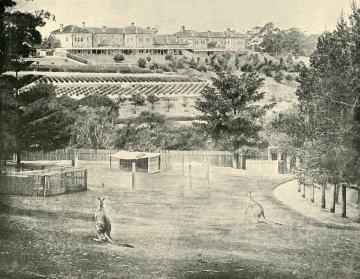 Gladesville Asylum für Geisteskranke, New South Wales, 1901 von Unbekannt