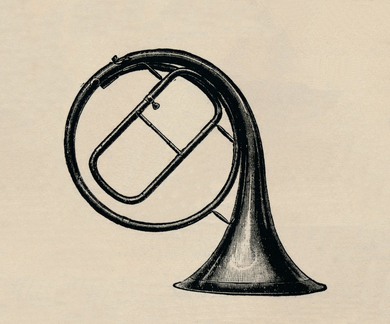 Handhorn, 1895 von Unbekannt