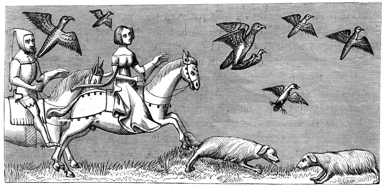 Wie man junge Falken zum Fliegen bringt, 14. Jahrhundert 1849 von Unbekannt