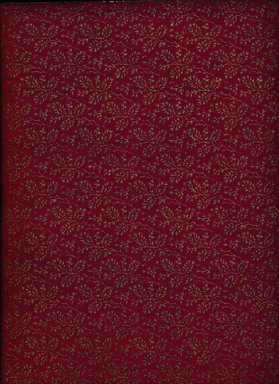 Innenmuster des Einbands, 1901 von Unbekannt