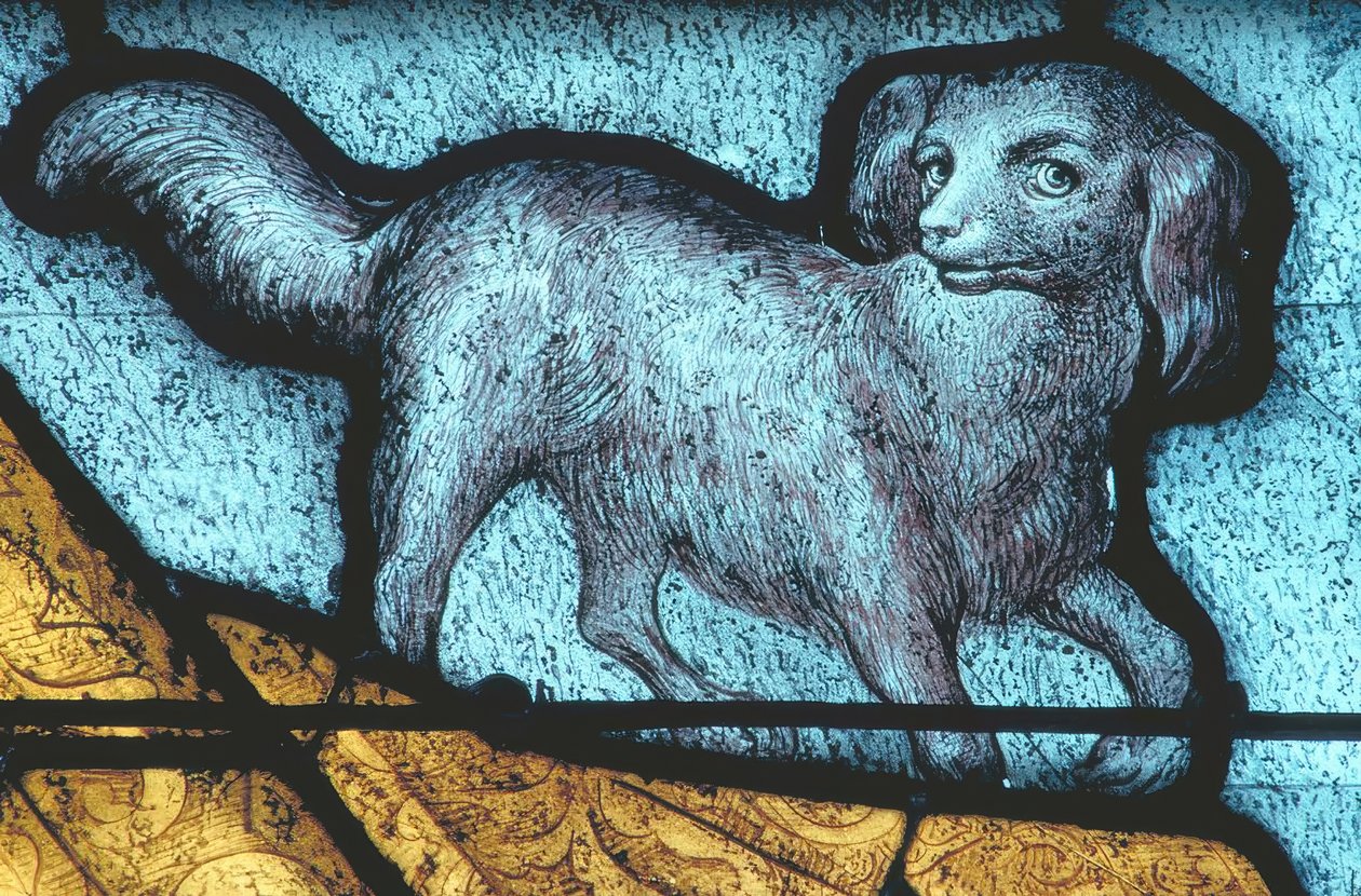 La Ferté-Bernard, Hund / Glasmalerei 15. Jh von Unbekannt
